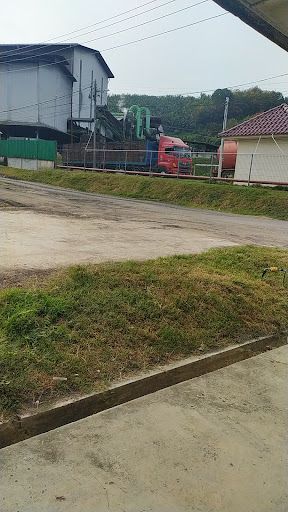 Kilang Kelapa Sawit Bukit Pasir Sdn Bhd