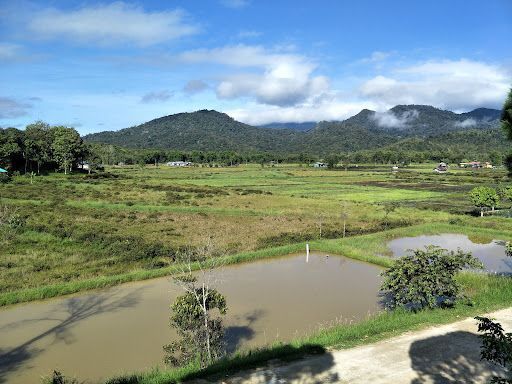 Makmal Terbaik di Marudi
