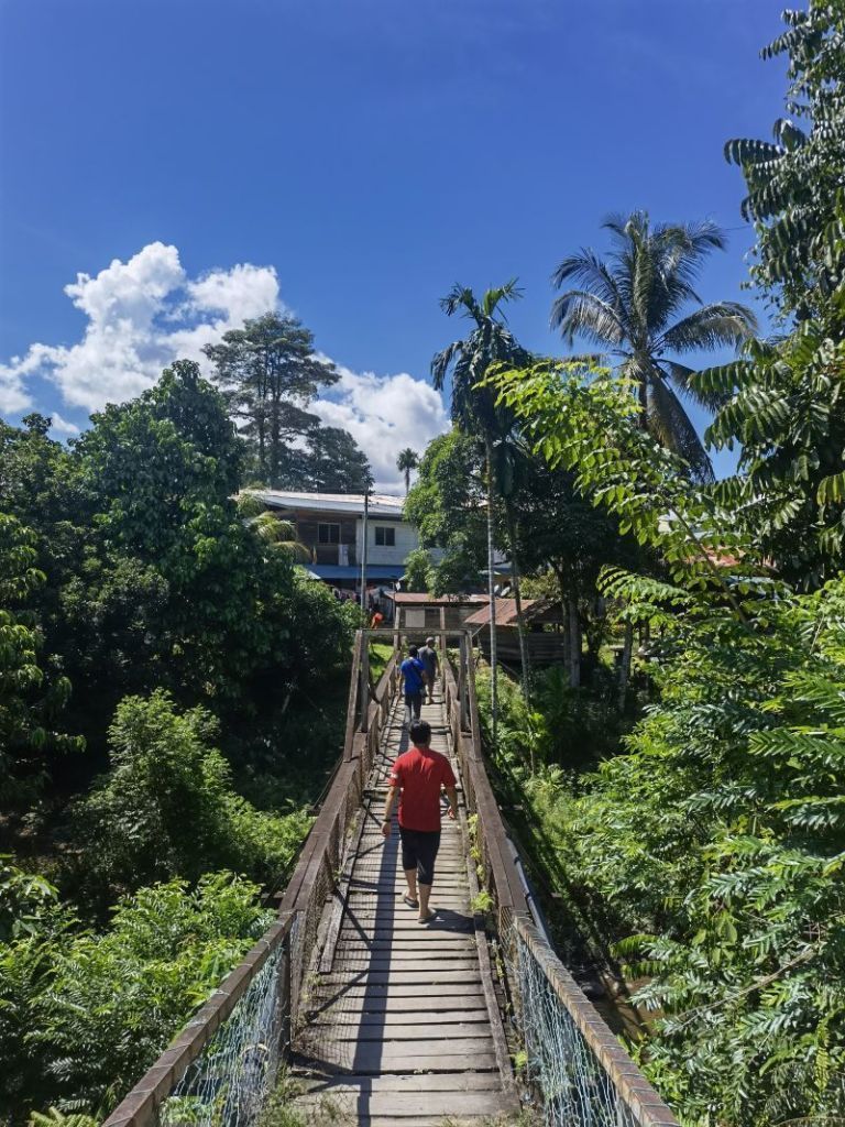 Marudi